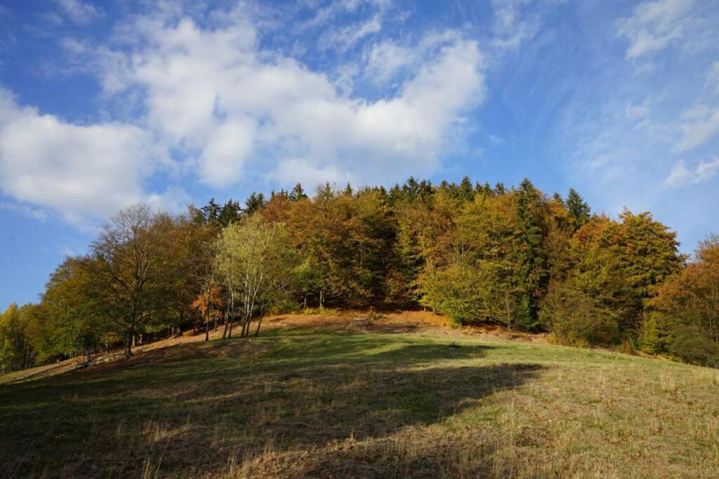 Ferienhaus Hellaberg Langenbach  Bagian luar foto